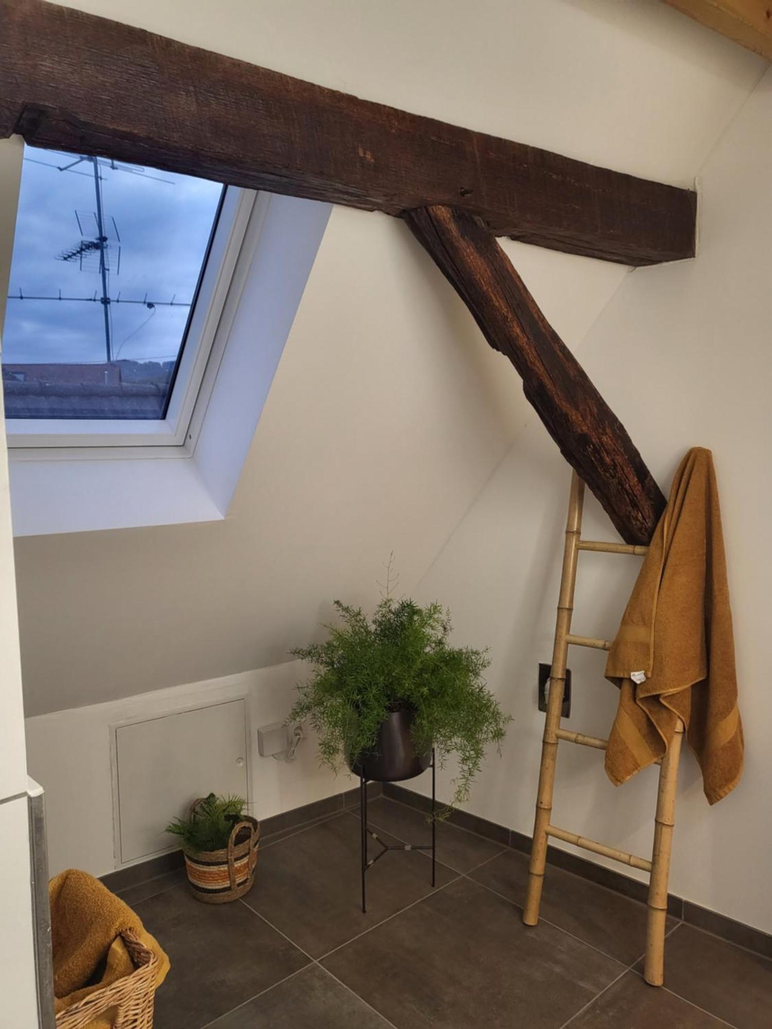 Ferienwohnung Im Rebstock Nr.1 Bahlingen  ภายนอก รูปภาพ